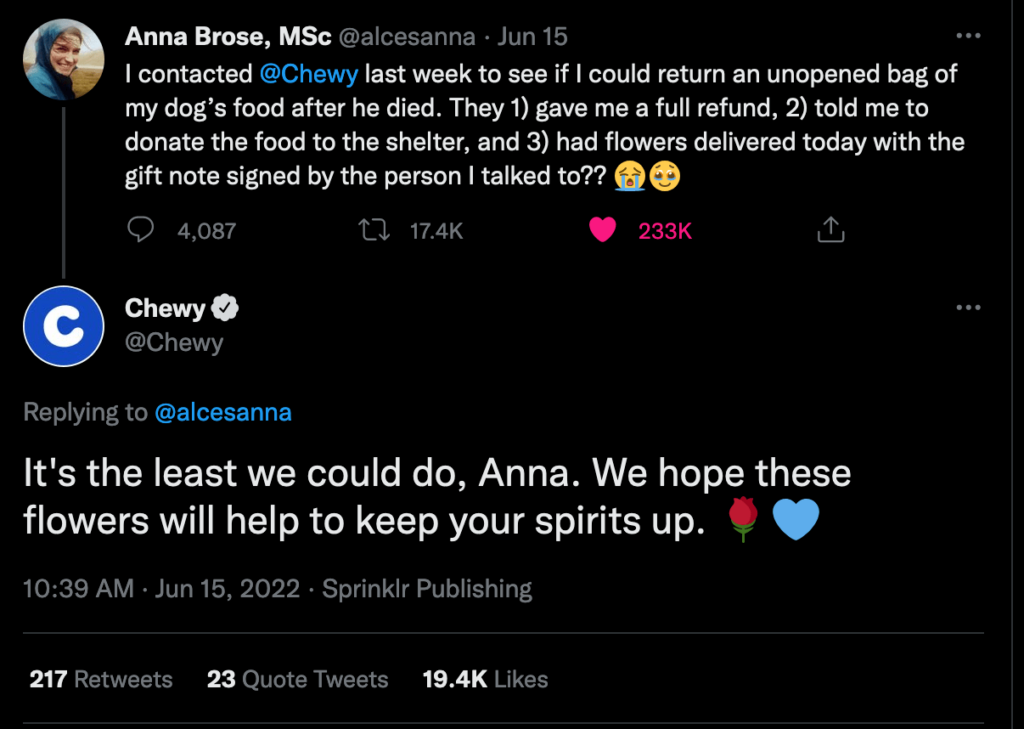 best customer service experience example