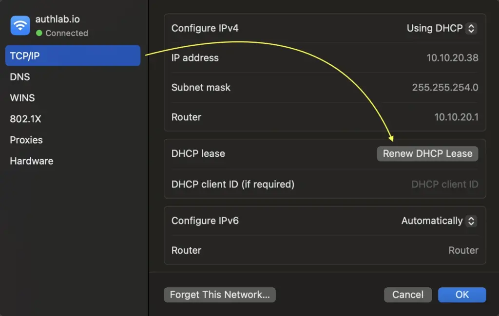 TCP/IP option in Mac