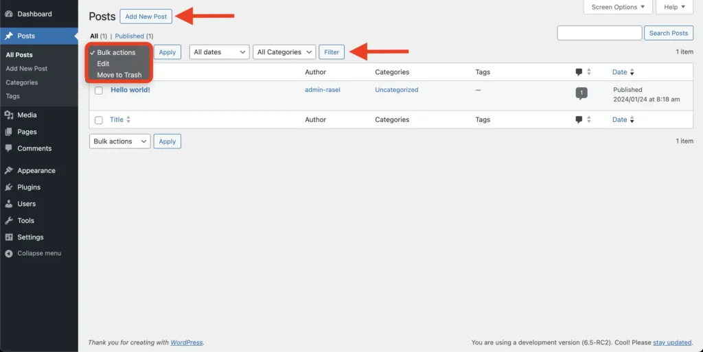 WordPress Posts